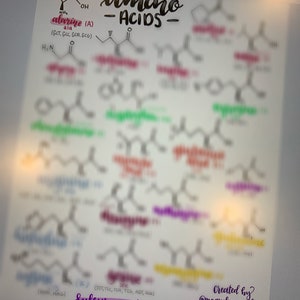 Könnte beinhalten: Eine handgeschriebene Tabelle mit Aminosäuren, ihren chemischen Strukturen und Namen. Die Tabelle ist nach Typ geordnet: aliphatisch, aromatisch, schwefelhaltig, sauer, basisch und hydroxiliert. Die Tabelle ist oben mit "Aminosäuren" beschriftet.