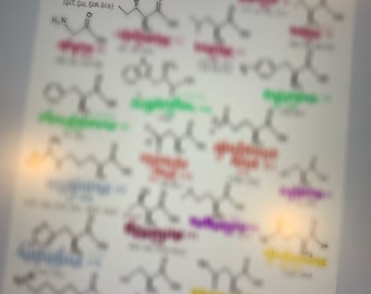 Biochemistry Amino Acids Reference Sheet