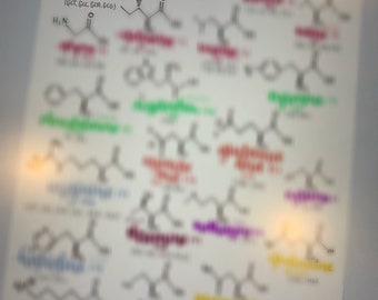 May include: A handwritten chart of amino acids with their chemical structures and names. The chart is organised by type: aliphatic, aromatic, sulfur-containing, acidic, basic, and hydroxilic. The chart is labelled "amino acids" at the top.