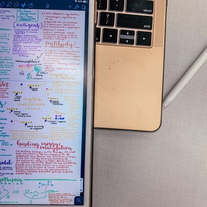 Biochemistry Proteins and Enzymes Notes