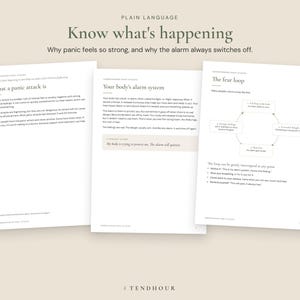 May include: Three white informational pages with dark text titled Know what's happening, What a panic attack is, Your body's alarm system, and The fear loop. The pages contain educational paragraphs and a circular diagram explaining panic attacks.