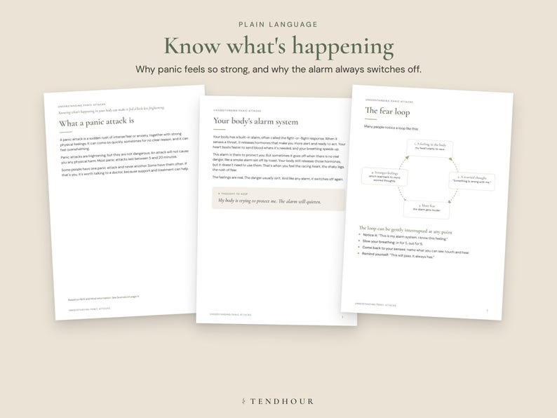 May include: Three white informational pages with dark text titled Know what's happening, What a panic attack is, Your body's alarm system, and The fear loop. The pages contain educational paragraphs and a circular diagram explaining panic attacks.