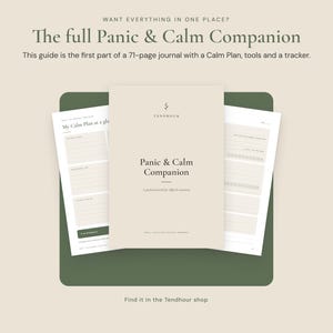 May include: A beige journal titled Panic & Calm Companion with a dark green background. The cover features the text Panic & Calm Companion and A guided journal for difficult moments. The pages show a My Calm Plan at a glance section and trackers.
