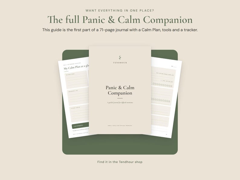 May include: A beige journal titled Panic & Calm Companion with a dark green background. The cover features the text Panic & Calm Companion and A guided journal for difficult moments. The pages show a My Calm Plan at a glance section and trackers.