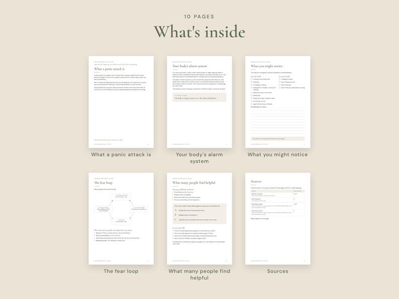 May include: A set of 10 informational pages titled What's inside, featuring text and diagrams about panic attacks. The pages include sections titled What a panic attack is, Your body's alarm system, What you might notice, The fear loop, What many people find helpful, and Sources.