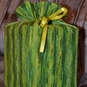 May include: A green and yellow striped fabric gift bag with a yellow ribbon tied around the top.