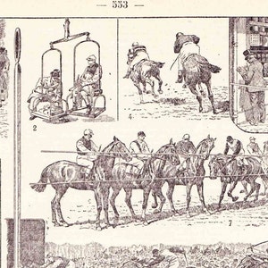 Vintage French 1910s French Engraving Print Horse Horse-racing Steeplechase Derby betting Book Page
