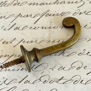 Può includere: Un gancio vintage in ottone con un design curvo e una base decorativa. Il gancio ha una vite per il montaggio e viene probabilmente utilizzato per appendere oggetti. L'ottone ha una patina invecchiata.