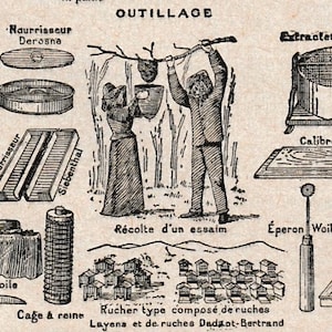 Antieke Franse gedrukte woordenboekpagina jaren 1920 illustraties Bijenteelt Bijenkorf Honing
