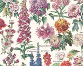 Vintage French 1920s Print Old Cottage Garden Flowers Botanical Book Plate