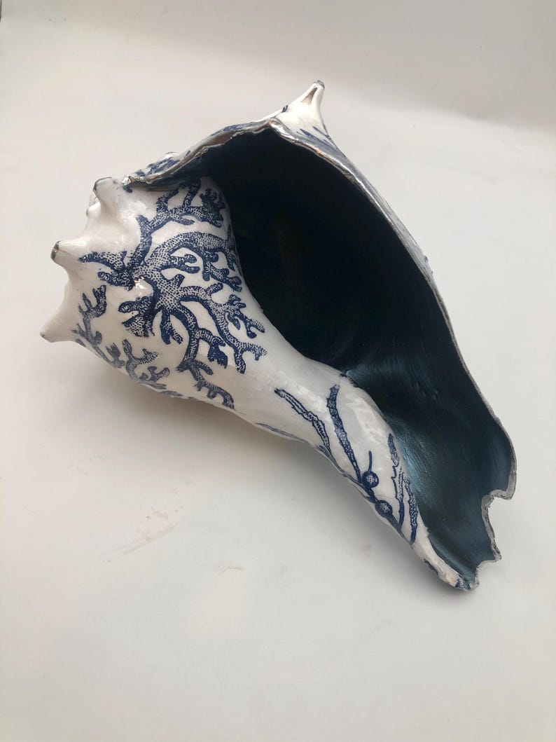 K&ouml;nnte beinhalten: Eine gro&szlig;e Muschelschale mit wei&szlig;er Au&szlig;enseite, die mit komplizierten blauen Korallenmustern verziert ist. Das Innere der Muschel ist in einem tiefen Dunkelblau gehalten, was einen starken Kontrast zwischen der Au&szlig;enfl&auml;che und dem Hohlraum erzeugt.