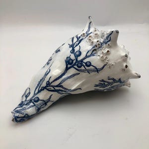 K&ouml;nnte beinhalten: Eine wei&szlig;e Muschelschale, verziert mit detaillierten blauen botanischen Illustrationen von Seetang und Beeren. Die Schale hat eine nat&uuml;rliche, strukturierte Oberfl&auml;che mit kleinen, erhabenen Formationen und spitzen Ausw&uuml;chsen.