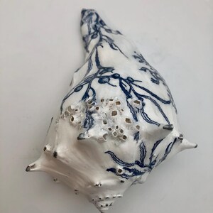K&ouml;nnte beinhalten: Eine wei&szlig;e Muschel mit einem detaillierten blauen botanischen Muster aus Zweigen und Beeren. Die Muschel hat eine strukturierte Oberfl&auml;che mit kleinen, erhabenen, por&ouml;sen, pockenartigen Clustern und mehreren spitzen Vorspr&uuml;ngen am Rand.