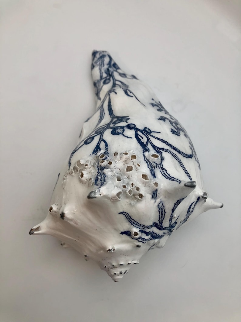 K&ouml;nnte beinhalten: Eine wei&szlig;e Muschel mit einem detaillierten blauen botanischen Muster aus Zweigen und Beeren. Die Muschel hat eine strukturierte Oberfl&auml;che mit kleinen, erhabenen, por&ouml;sen, pockenartigen Clustern und mehreren spitzen Vorspr&uuml;ngen am Rand.