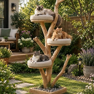 May include: A cat tree constructed from a natural tree trunk with three circular platforms, each featuring a beige cushion. The base is a square wooden frame filled with grey stones. Three cats are resting on the elevated, cushioned platforms.