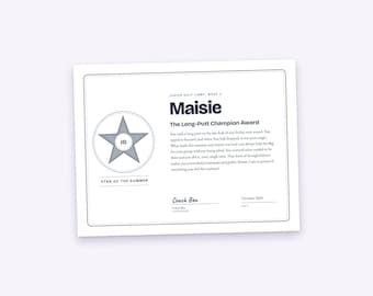 Golf Camp Certificate and Letter Set for Each Camper, Any Occasion, Printable PDF