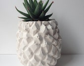 SOLD OUT /// plaster pineapple pot /// handcast plaster pineapple pot with haworthia