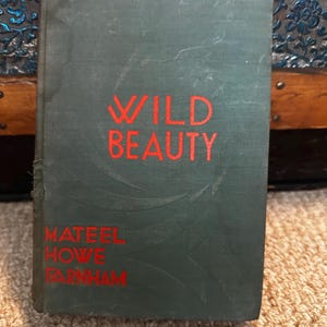 May include: A dark green hardcover book titled Wild Beauty by Mateel Howe Farnham. The front cover features the title and author name printed in bold red lettering, with subtle embossed curved lines across the dark green fabric surface.