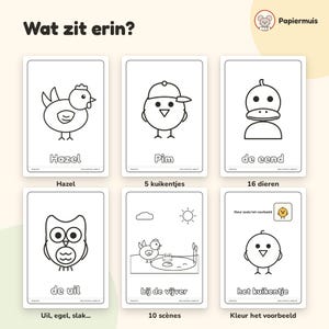 Puede incluir: Seis p&aacute;ginas rectangulares para colorear con dibujos de l&iacute;neas negras de animales y escenas. Las p&aacute;ginas incluyen ilustraciones de una gallina llamada Hazel, un pollito llamado Pim, un pato, un b&uacute;ho, una escena de estanque y un pollito.