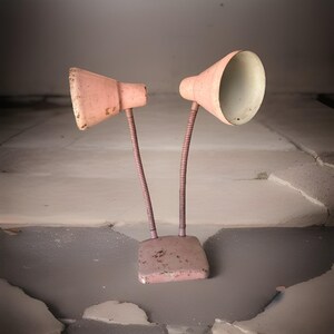 MCM Gooseneck Double Cone Adjustable Wall Table Lamp Dual Light Pink Atomic Prop