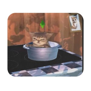 May include: A brown tabby kitten sits inside a silver metal cooking pot on a black stovetop. A green diamond-shaped icon floats above the kitten's head. A framed picture of a kitten hangs on the wall in the background of this digital scene.