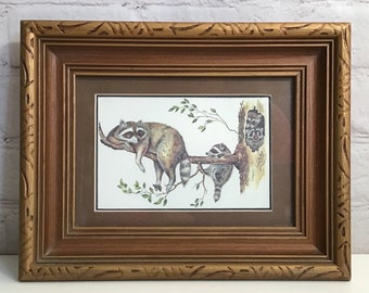 Vintage Racoon Family Print by Ida Svanhild Davis Framed 9.25 x 7.25