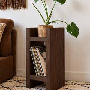 May include: A dark brown wooden side table with a vertical open storage compartment for vinyl records. The top surface holds a green plant in a woven basket. The table features a simple rectangular frame with visible joinery details on the sides.