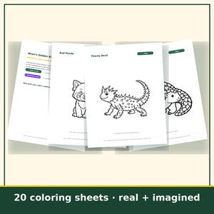 Animal Coloring Pages for Kids Printable, 20 Real and Imaginary Creature Sheets, Homeschool Art Activity, Instant Download image 2