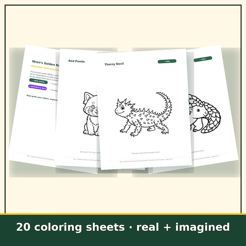 Animal Coloring Pages for Kids Printable, 20 Real and Imaginary Creature Sheets, Homeschool Art Activity, Instant Download image 2