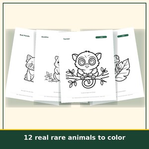 Animal Coloring Pages for Kids Printable, 20 Real and Imaginary Creature Sheets, Homeschool Art Activity, Instant Download image 3