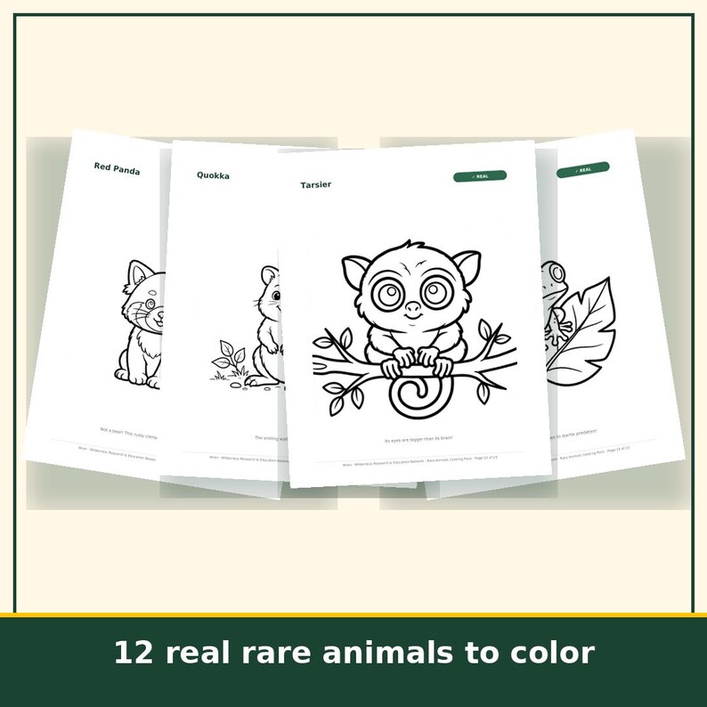 Animal Coloring Pages for Kids Printable, 20 Real and Imaginary Creature Sheets, Homeschool Art Activity, Instant Download image 3
