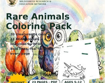 Animal Coloring Pages for Kids Printable, 20 Real and Imaginary Creature Sheets, Homeschool Art Activity, Instant Download