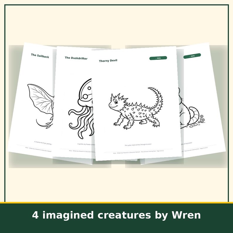 Animal Coloring Pages for Kids Printable, 20 Real and Imaginary Creature Sheets, Homeschool Art Activity, Instant Download image 4