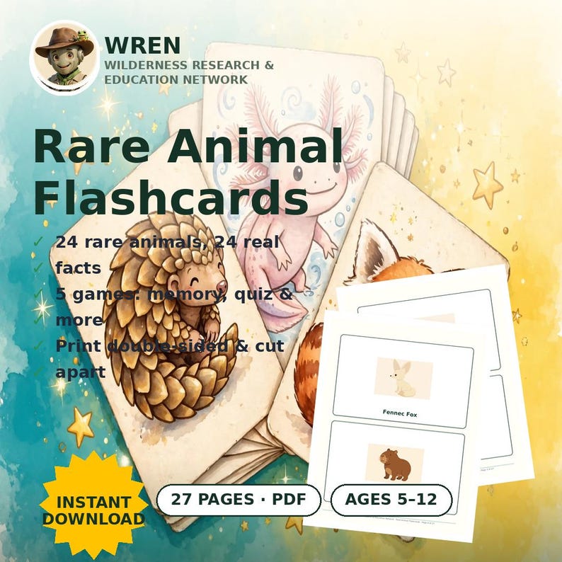 Animal Flashcards for Kids Printable, 24 Real Animal Fact Cards, Homeschool Science, Montessori Learning Cards, Instant Download image 1