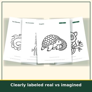 Animal Coloring Pages for Kids Printable, 20 Real and Imaginary Creature Sheets, Homeschool Art Activity, Instant Download image 5