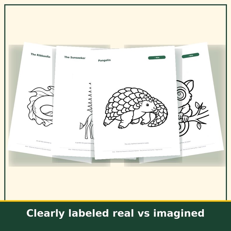 Animal Coloring Pages for Kids Printable, 20 Real and Imaginary Creature Sheets, Homeschool Art Activity, Instant Download image 5