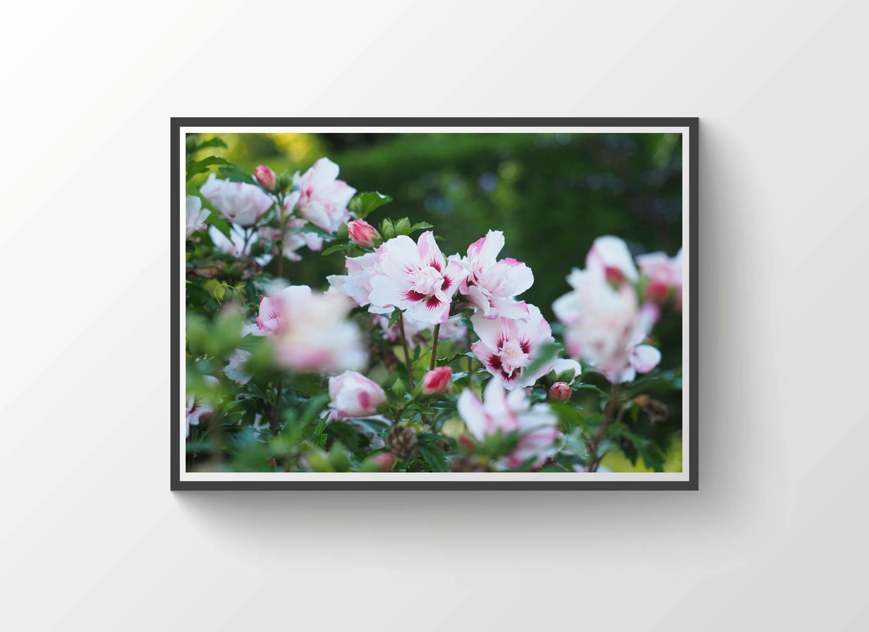 Flower Print Farmhouse Decor Nature Photography