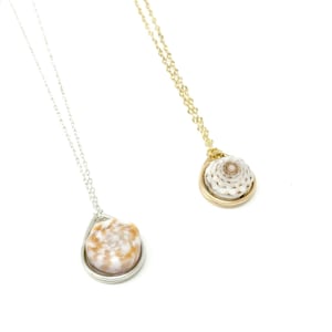 Swirly Hawaiian Puka Shell Necklace – Unique Beach-Inspired Jewelry
