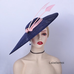 May include: A wide-brimmed navy blue hat with a pink ribbon and two pink feathers. The hat is tilted at an angle and the feathers are pointing upwards.