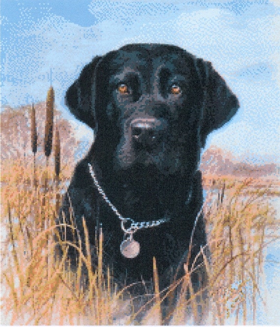 Pdf Beautiful Cross Stitch Pattern Black Labrador A39 Etsy