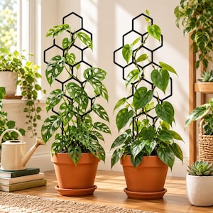 May include: Two black metal plant trellises with a geometric honeycomb pattern, each supporting a green climbing plant in a terracotta pot with a matching saucer. The trellises feature a vertical arrangement of hexagonal shapes.