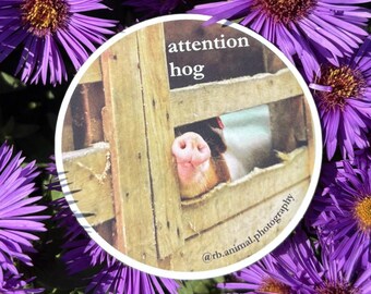 Attention Hog Sticker