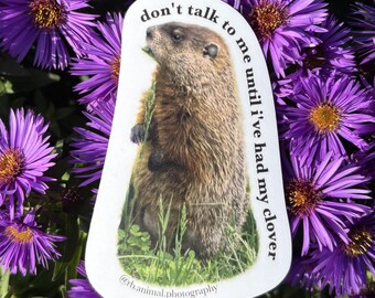Groundhog & Clover Sticker