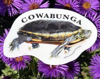 Cowabunga Turtle Sticker