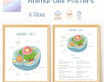 Animal Cell Posters for Kids | Biology Science Wall Art | Educational ...