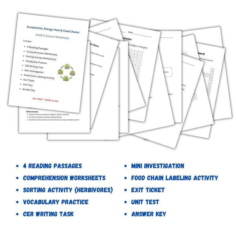 Ecosystems Energy Flow & Food Chains Worksheets | 5th Grade Science ...