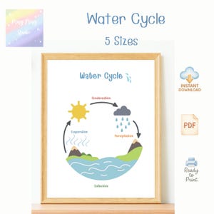 Water Cycle Poster | Educational Science Classroom Wall Art | Kids Learning Chart | Printable PDF