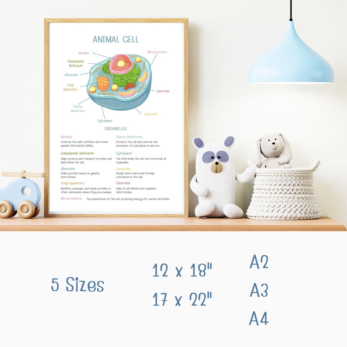 Plant and Animal Cell Posters | Educational Biology PDF | Classroom ...