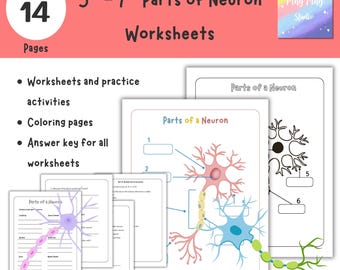 Parts of a Neuron Worksheets | Nervous System Activities | G5–G7 Science