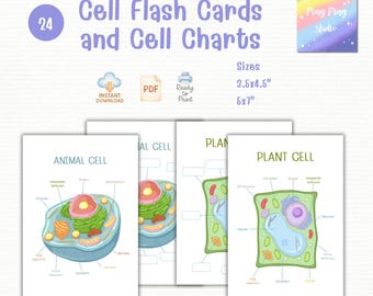 Schede didattiche sulle cellule e poster scientifici – Pacchetto di diagrammi sulle cellule animali e vegetali in formato PDF